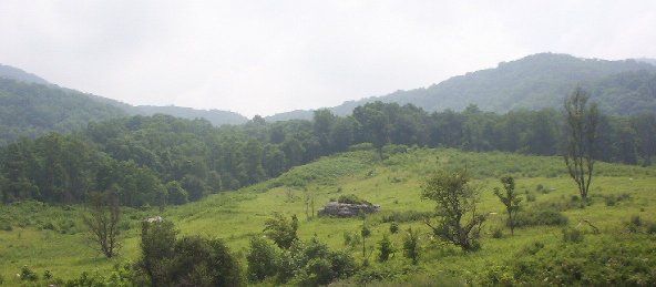 cmwr1.jpg
Located near Saltville, Virginia, off Poor Valley Road.  Photo by Jeff Weaver, summer 2003.
