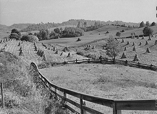 cornmarion1.jpg
This is another agricultural photograph made in 1940 from the collection of the Libraryof Congress.
