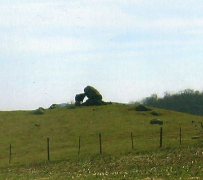 Comers Rock - Cow taking Refuge
This cow was taking refuge under a leaning rock in this shot.  Photo March 21, 2008 by Jeff Weaver.
