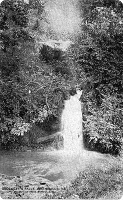 Wytheville - Crockett Falls
This is a circa 1910 postcard of Crockett Falls.
