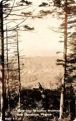 Damascus - View of Whitetop Mountain
This is a 1930s real photo view of Whitetop Mountain taken near Damascus.
