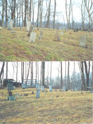 daviscem2.jpg
Courtesy of Jcamel232002
