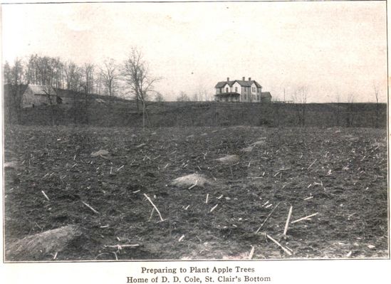 ddcole.jpg
This is a 1907 photo.  Courtesy of Mary C. Blevins.
