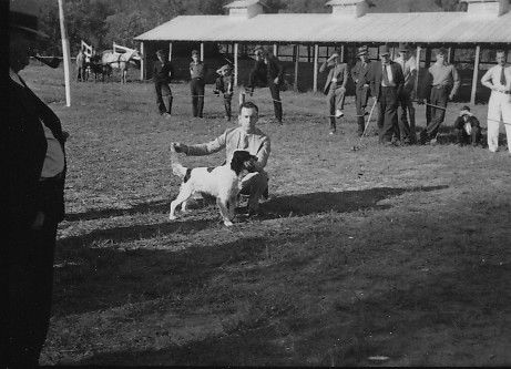 dogshow8.jpg
This is a late 1930s John Porter photo of a dog show in Saltville.
