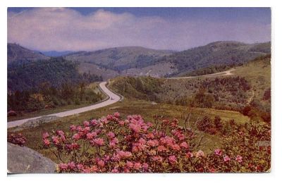 doughtonpark.jpg
From a 1950s postcard.

