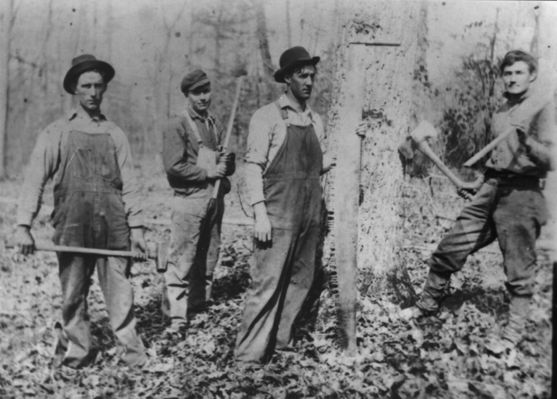 dunpery7b.jpg
On the right is Perry Duncan (1887-1937).  Perry married Mary Mitchell in 1912, and they lived in Dublin until her death in 1925.  During that time Perry may have worked clearing land for the railroad.  In later years he worked in a sawmill.  The other men are unidentified.  Courtesy of Jason Duncan [email]jmduncan@statesville.net[/email]

