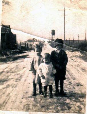 dunsibdub3.jpg
Wilson (1912), Maggie (1915), and Watts Duncan (1917), children of Perry Duncan.  This picture was taken near their home in Dublin, VA, about 1919.  It is believed that they were living on what is now "Old Rte 11", heading east out of town, along the railroad.  Courtesy of Jason Duncan [email]jmduncan@statesville.net[/email]
