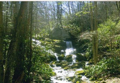 Comers Rock - Falls of Elk Creek
On Falls Road near Comer's Rock this is the upper falls of the North Fork of Elk Creek.  Photo by Jeff Weaver, March 25, 2008.
