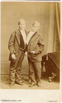 engchang.jpg
The original Siamese Twins.  From 19th century steroscope card.
