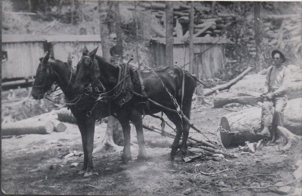 fairwoodlogs.jpg
This is Isaac Quincy Weaver (1893-1961; son of Clayborn Monroe Weaver and Martha Litisha Phipps) working at U.S. Spruce Lumber Company at Fairwood in the early 1920s.
