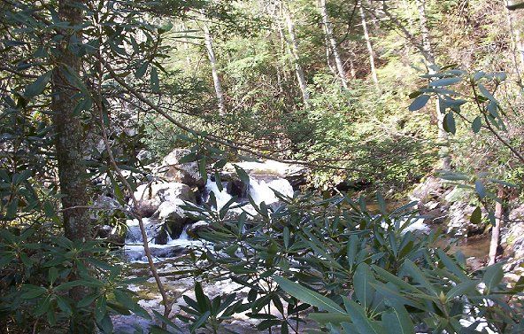fallsoffox3.jpg
Near Troutdale, Summer 2003, by Jeff Weaver

