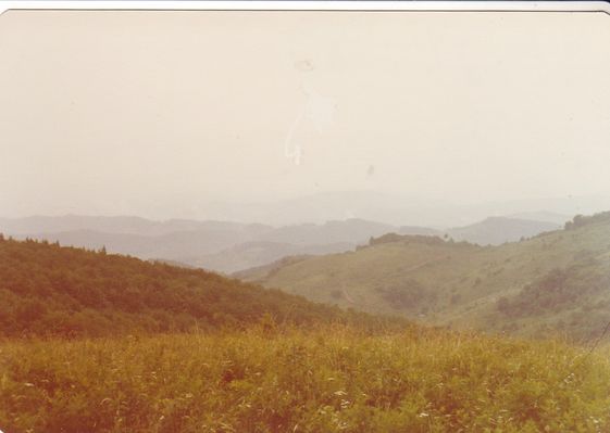 feesridge1.jpg
This is the general view from the top of Fees Ridge, Grayson County, VA.  Photo by Jeff Weaver 1978.
