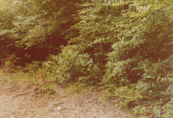 feesridge2.jpg
Photo by Jeff Weaver 1978.
