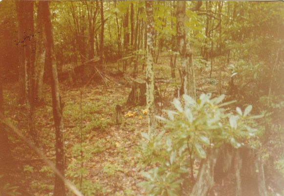 feesridge3.jpg
Photo by Jeff Weaver 1978
