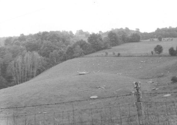 feesridgesheep.jpg
This view of Fees Ridge was taken in June 1978 by Jeff Weaver and shows sheep grazing.  This was quite common in the 19th century, but has about ended in Grayson county at present.

