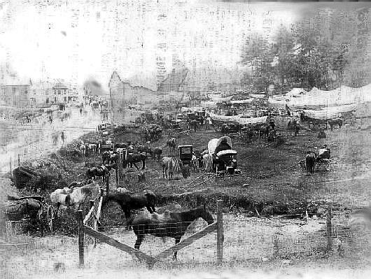 firstgalaxfair.jpg
This photo was taken at the first Galax Fair, circa 1906.

