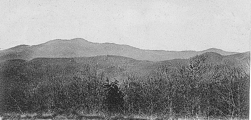 grandfather1908.jpg
This view of Grandfather Mountain from Blowing Rock is taken from a 1906 postcard.
