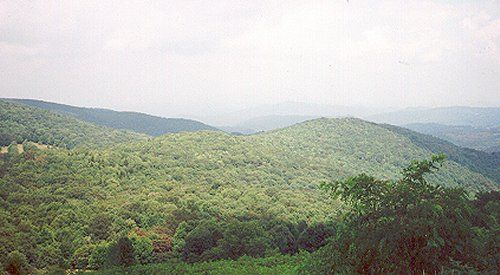 graysonhigh.jpg
Photo of one of the views from Grayson Highlands State Park.  Photo by Tracy McMillan Farmer.
