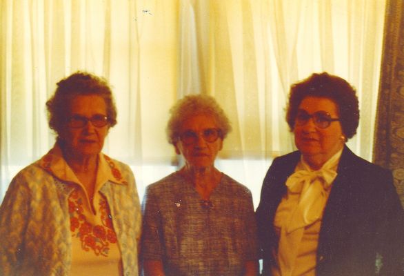 guidalantacora.jpg
This is a photo taken in Oxford, Pennsylvania in October 1979 by Jeff Weaver.  Left is Guida Sturgill Weaver; center is Lanta Sturgill Spencer; and Cora Sturgill Frazier Weaver on the right.  These ladies are daughters of James Estil Sturgill and Ella Ingram.
