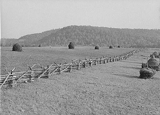 haystacksmarion.jpg
Photo from the Library of Congress collection.
