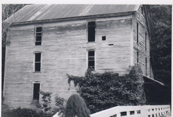 heltongristmill.jpg
This is a photo of the Grist Mill Building on Helton Creek.  This photo by taken by Jeff Weaver in June 1978.
