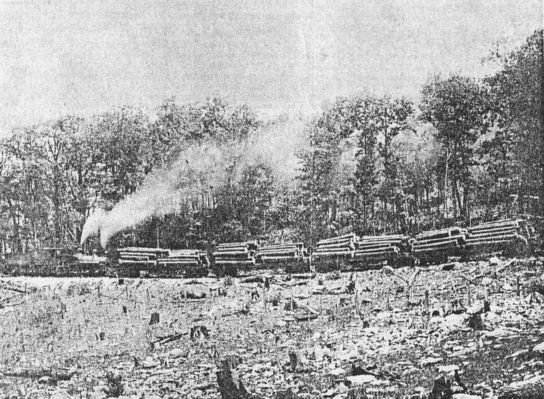 heltonlogging.jpg
This circa 1910 photo shows a heavily laden logging train taking virgin timber from the upper Helton section.
