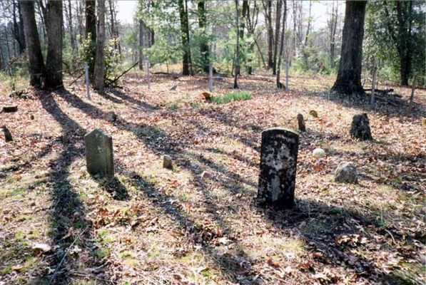 Holloway Cemetery
The Holloway Cemetery, located deep in the woods on Wiles Ridge, near Traphill.  Picture taken in 2000.  Courtesy of Jason Duncan [email]jmduncan@statesville.net[/email].

