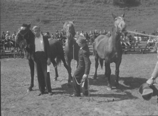 horseshow6.jpg
This 1937-38 photo by John Porter shows some of the activities at the Rich Valley fair.

