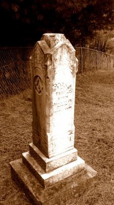 Mouth of Wilson - Potato Creek Methodist Church Cemetery
Courtesy of Misty Martin.
