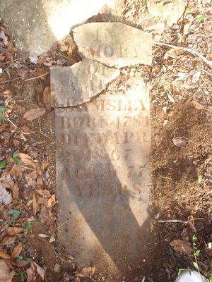 jamesgrimsleystone.jpg
This grave is in the Elisha Anderson Cemetery.  Photo November 5, 2006 by Chrissie A. Peters.
