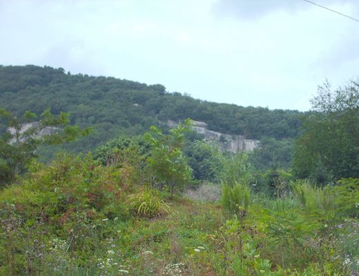 july2006pic 026.jpg
This is photo was taken July 22, 2006 by Jeff Weaver. It shows the Black Rock located on U.S.21 north of Independence.
