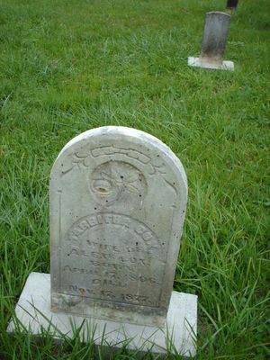 july2006pic 032.jpg
This photo was taken July 22, 2006 and shows the gravemarker for Tabitha Cox.
