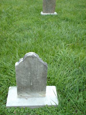 july2006pic 034.jpg
This photo was taken July 22, 2006 and shows the gravemarker for John Letcher Cox.
