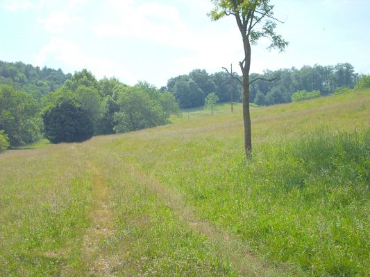 june2006pic 041.jpg
Photo by Jeff Weaver, June 10, 2006.  The site of the original cabin was probably in the midground tree line.
