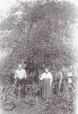 kilbytroy.jpg
This is a picture of Troy and Cosby Spencer Kilby.  If you look closely you can see Alia Kilby standing in the top of the cherry tree with her arms spread out as if she were ready to fly!  
Courtesy of Eleanor Jo Cox [email]ejcox@naxs.com[/email].
