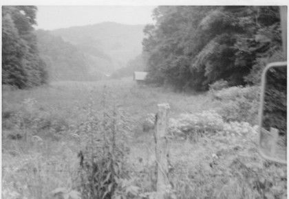 Fees Branch - Thornton KIlby's Farm
This photo taken by Jeff Weaver in July 1978 shows what was at one time Thornton Kilby's farm.  This farm, in Grayson County, abuts the Ashe county, NC line near Sturgills.
