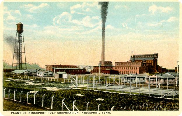 kingsportpulp~0.jpg
This is from a 1910s postcard.
