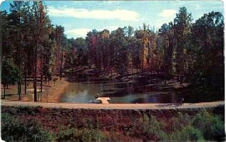 lakewoodpark.jpg
This is from a 1960s postcard.
