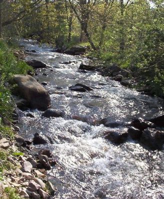 laurelcreek.jpg
Photo by Jeff Weaver 2003.  [url=http://www.damascus.org/activities.html]Click here[/url] for the town of Damascus' website.
