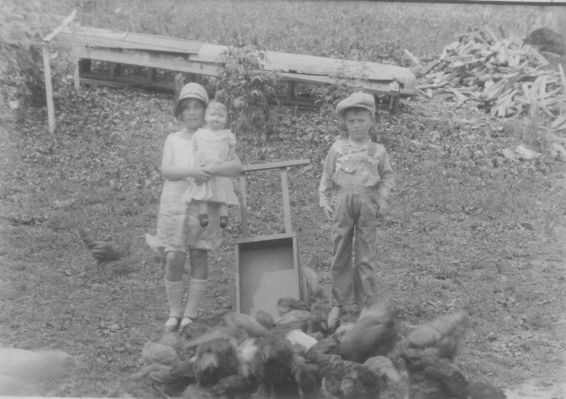 lester35.jpg
Photo taken in Buckeye Hollow, Smyth County, VA.
