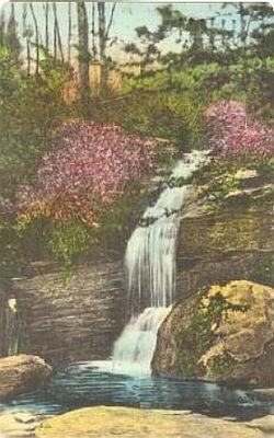 linvillefalls1910.jpg
This is a circa 1910 postcard of Linville Falls.  This [url=http://www.cs.unca.edu/nfsnc/recreation/wncwaterfalls/linvillefalls.htm]website[/url] has more information about Linville Falls.
