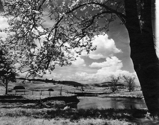 maxmeadows.jpg
This is from a mid-20th century photograph.

