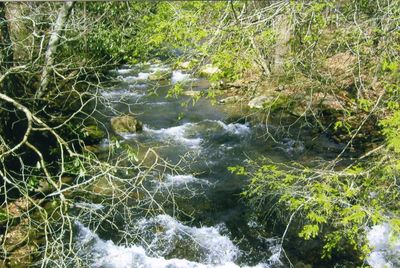 Roberts Cove - Middle Fox Creek
Photo March 21, 200 by Jeff Weaver
