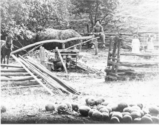 molassesjerrysmall.jpg
This circa. 1920 photo shows traditional mountain molasses making.  This photo was taken somewhere in Smyth County, VA.
Courtesy of Jerry Catron, Saltville, VA.
