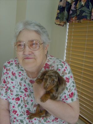 Click to view full size image
==============
Weaver, Sue Lee Phipps
This September 29, 2007 shows Sue Lee Phipps Weaver and her newest granddogter, Pancake. Pancake lives with Patti and I in Saltville, VA. Pancake is a minature, long-hair, double daple daschund, who was whelped on July 19, 2007. Jeff Weaver.
Weaver, Sue Lee Phipps
This September 29, 2007 shows Sue Lee Phipps Weaver and her newest granddogter, Pancake. Pancake lives with Patti and I in Saltville, VA. Pancake is a minature, long-hair, double daple daschund, who was whelped on July 19, 2007. Jeff Weaver.