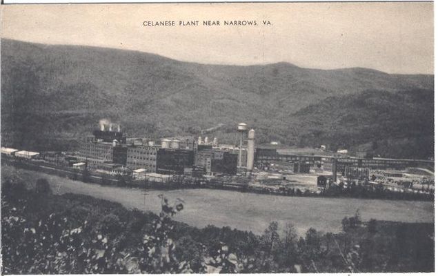 narrowsceleneseplant.jpg
This is from a mid-20th century postcard.
