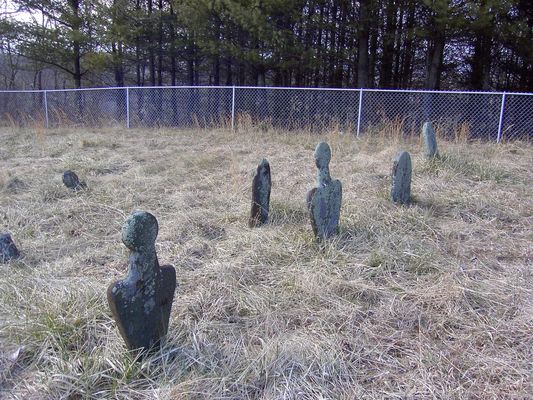 oldhigginscem.jpg
Do you know anything about the shape of cemetery stones as to when they were used if you can't read them?  I found an old Higgins Cemetery on Crab Creek Road, Alleghany Co NC and some of the old stones had odd shapes.  Some looked like a petrified slab of wood while others had shapes I had not seen before.   
Courtesy of Carol Lindamood [email]circuitrider@tcia.net[/email]
