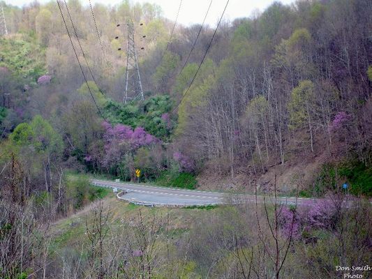 overlookdifferent.jpg
THE SALTVILLE OVERLOOK...FROM A DIFFERENT PERSPECTIVE.  /  APRIL 15, 2006.  Courtesy of Don Smith [email]dsmith1043@comcast.net[/email]

 
