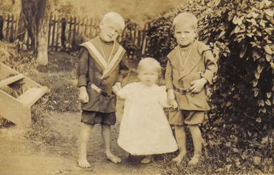 Perkins, Harry, Maud and Herbert
Here is Harry, Maud and Herbert Perkins, children of Gordon and Kate Jones Perkins.  Courtesy of Cathy Bell [email]cjbell47@goldenwesy.net[/email]

