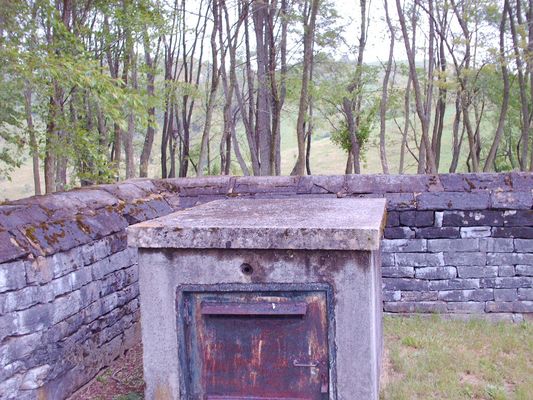 pic 055.jpg
An example of an above ground grave in Aspenvale cemetery.  Photo by Jeff Weaver.
